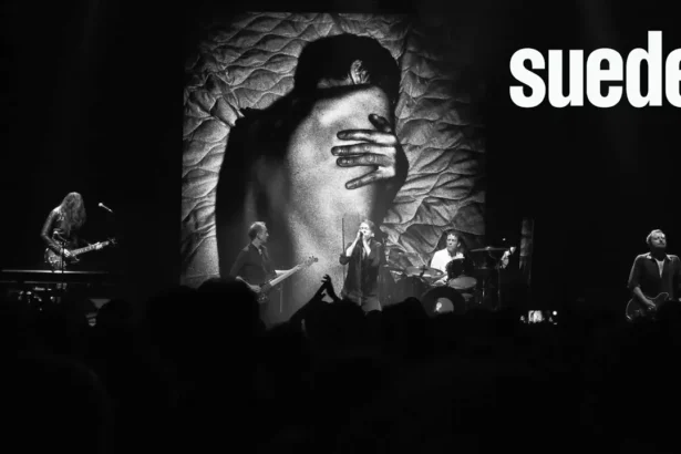 Suede ao vivo autofiction