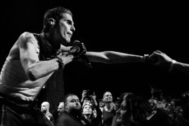 Foto Perry Farrell ao vivo com Porno For Pyros