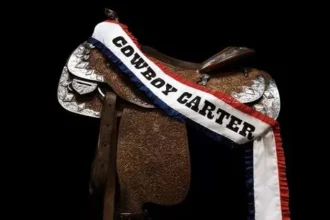 Foto capa disco Beyoncé