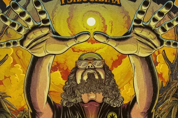 Poster show Brant Bjork em são paulo.