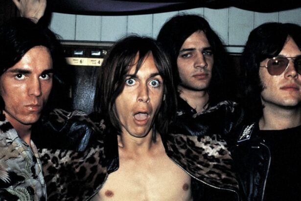 The Stooges e o nascimento do Punk