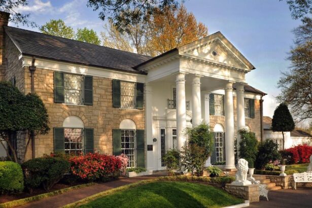 Mansão de Elvis Presley pode ir a leilão