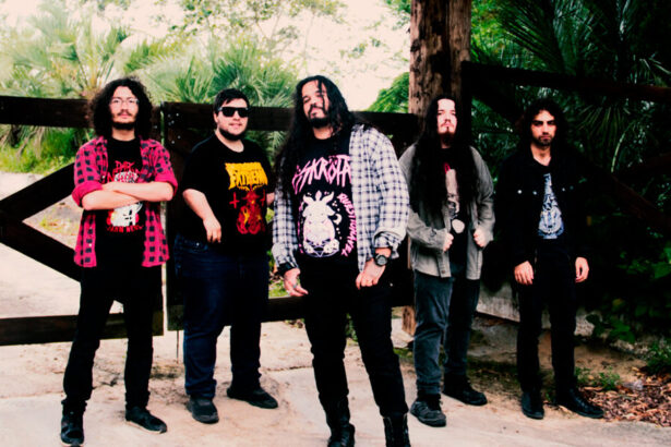 Foto: Dark New Farm. Crédito: Carina Langa.