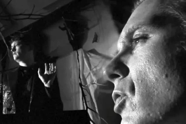 Franz Ferdinand - Night or Day Single. Crédito: Youtube.