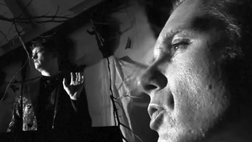 Franz Ferdinand - Night or Day Single. Crédito: Youtube.