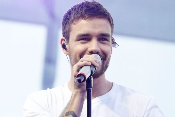 Liam Payne. Crédito Hania Lessen/Getty