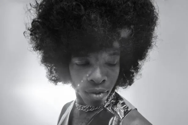 Foto: Sly Stone. Crédito: Onyx Collective.