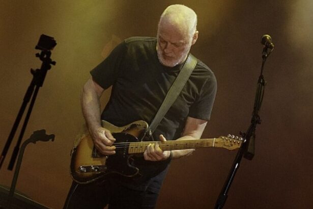 David Gilmour. Foto: Jimmy Baikovicius/Wikimedia.