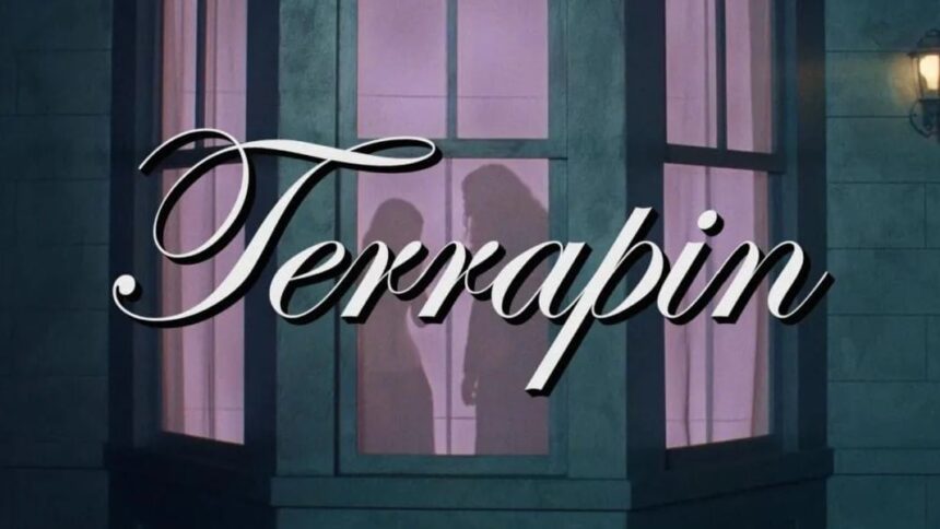 Clairo e “Weird Al” Yankovic em “Terrapin”, dirigido por Ayo Edebiri. Crédito: Reprodução Youtube