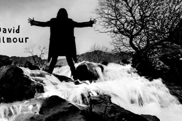 Foto: David Gilmour Luck And Strange. Crédito: Divulgação