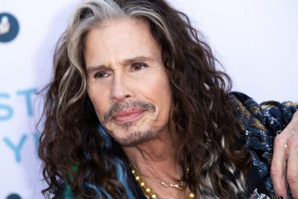 Foto: Steven Tyler Aerosmith. Crédito: Elyse Jankowski / Getty Images.