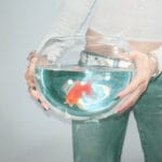 Capa do álbum frog song de fish narc