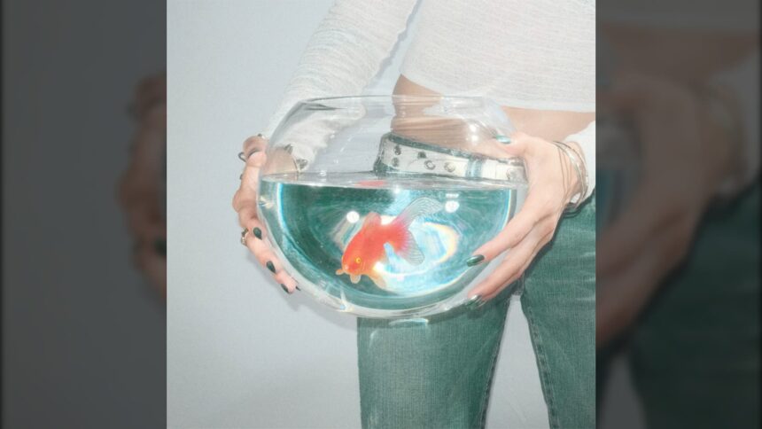 Capa do álbum frog song de fish narc