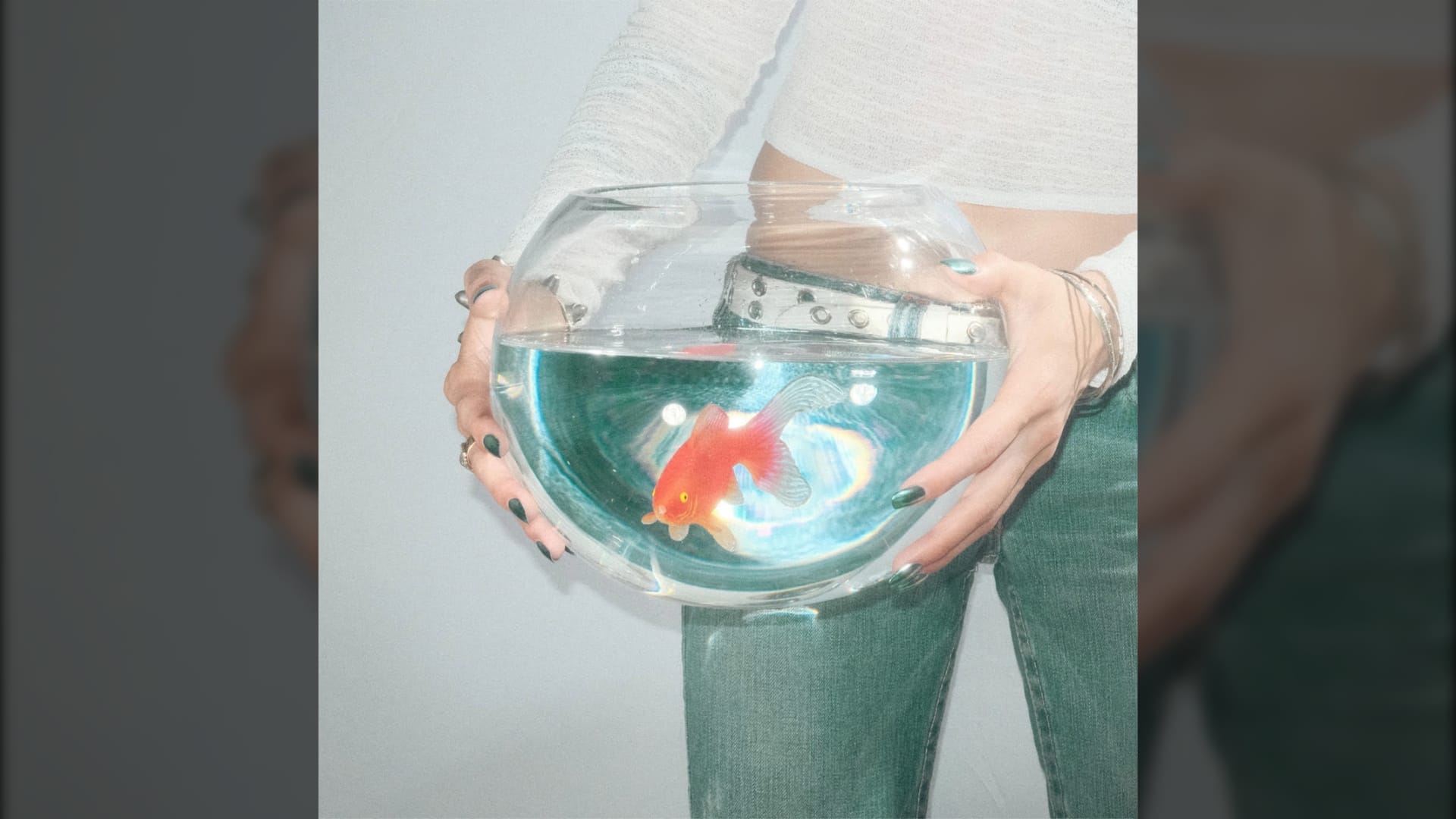 Capa do álbum frog song de fish narc