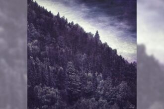 Capa do álbum Bergtatt do Ulver.