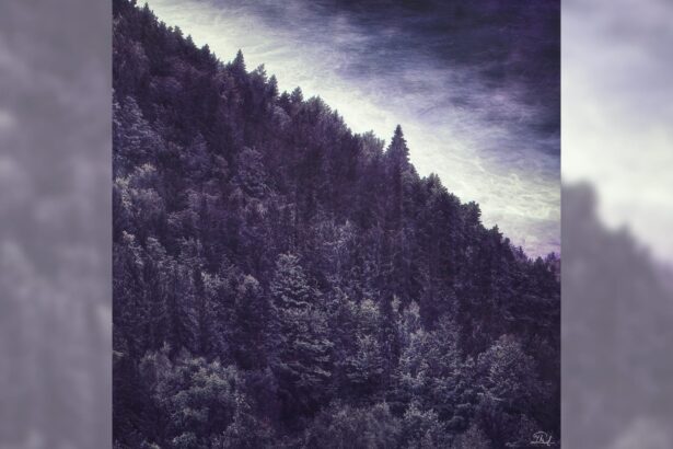 Capa do álbum Bergtatt do Ulver.