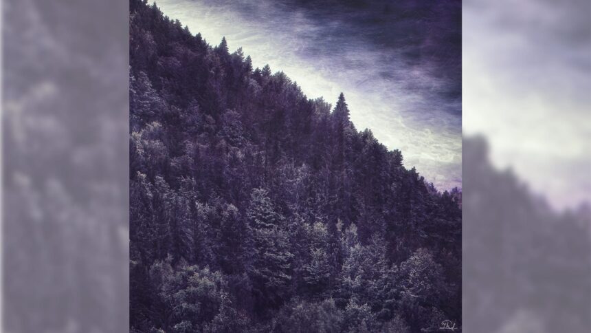 Capa do álbum Bergtatt do Ulver.