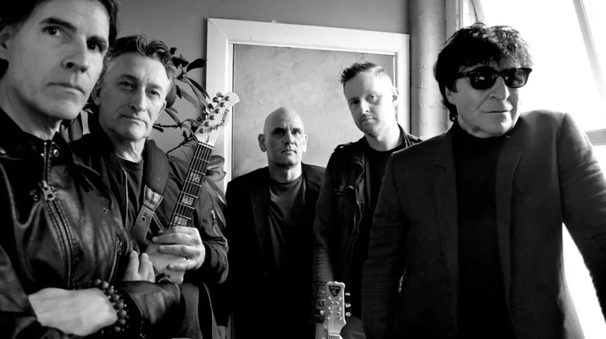 Foto: Chamaleons. Crédito: Mick Peek.