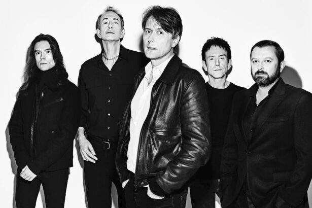 Suede. Crédito Dean Chalkley.