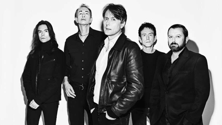 Suede. Crédito Dean Chalkley.