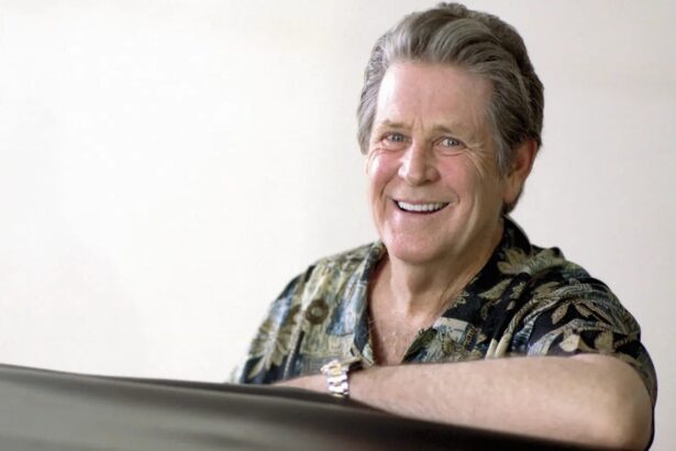 Brian Wilson. Foto: Wendy Redfern/Redferns/Getty Images.