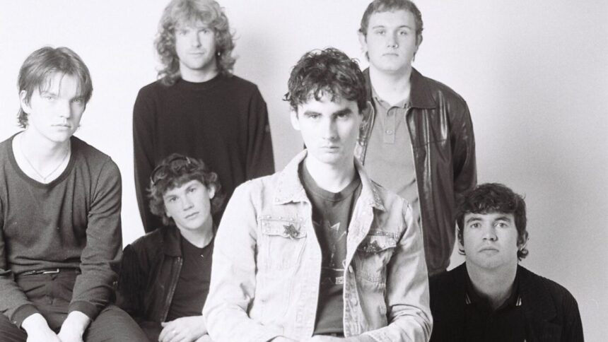 Foto: Cardinals. Crédito: Emilyn cardona.