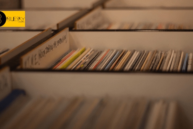 Record Shop. Foto: Niro 9 / Pixabay.