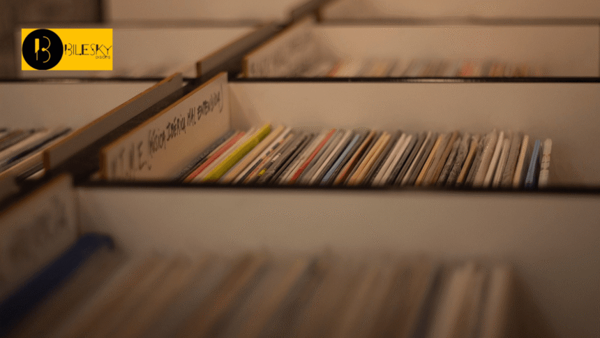 Record Shop. Foto: Niro 9 / Pixabay.