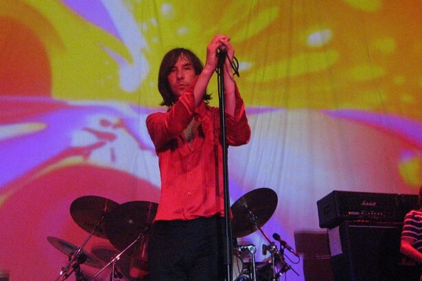Primal Scream. Crédito: Bobo Boom/Wikimedia Commons