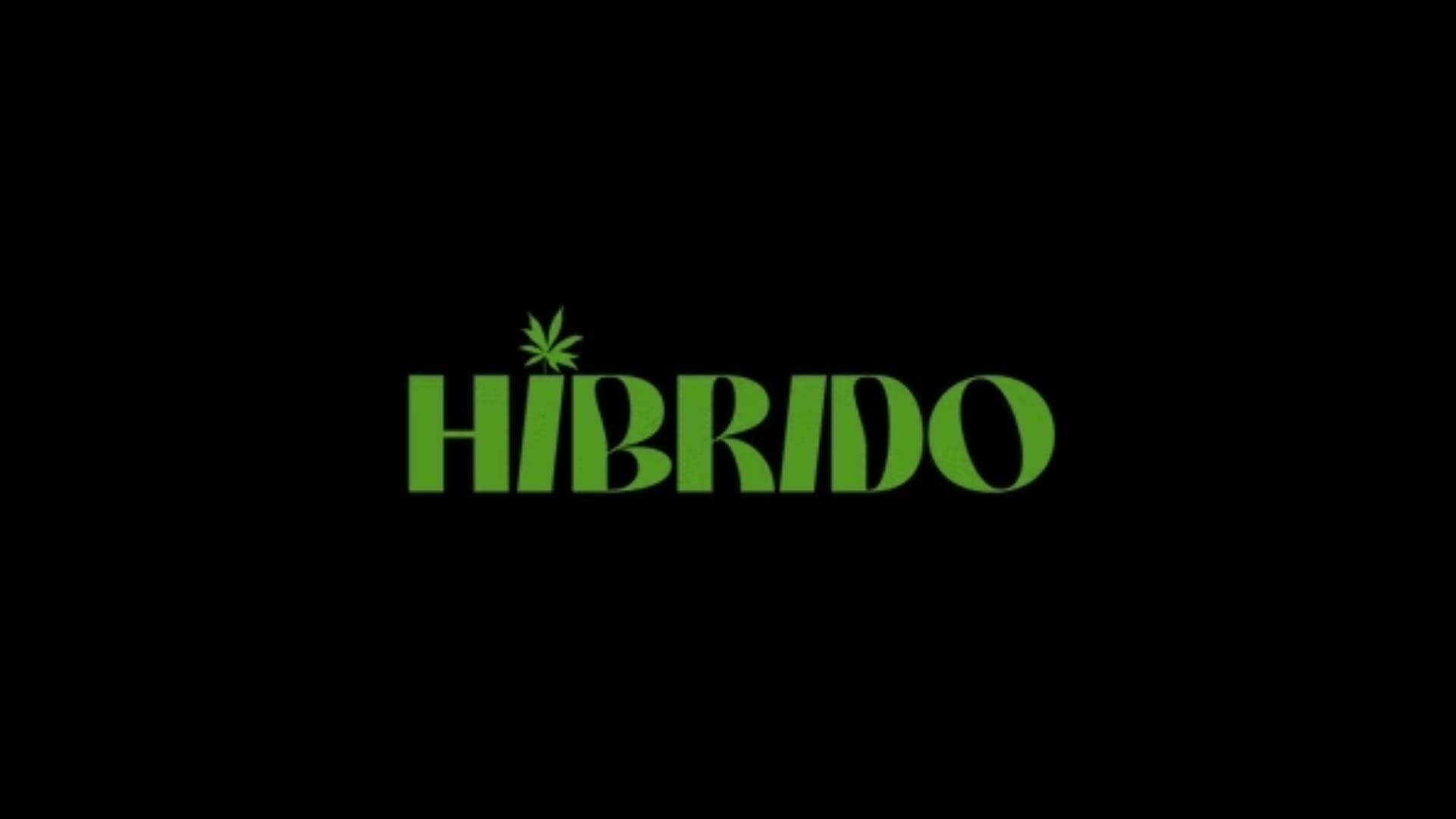 Festival Híbirdo
