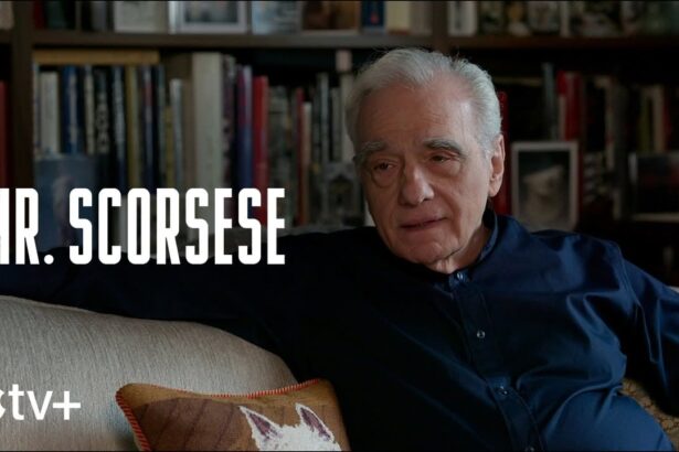 Mr. Scorcese. Foto: Reprodução Youtube.