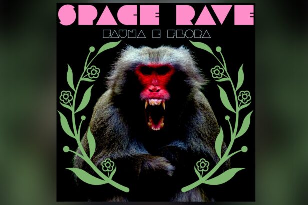 Capa "FAUNA E FLORA" da Space Rave.