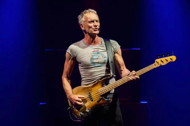 Sting. Foto: Reprodução.