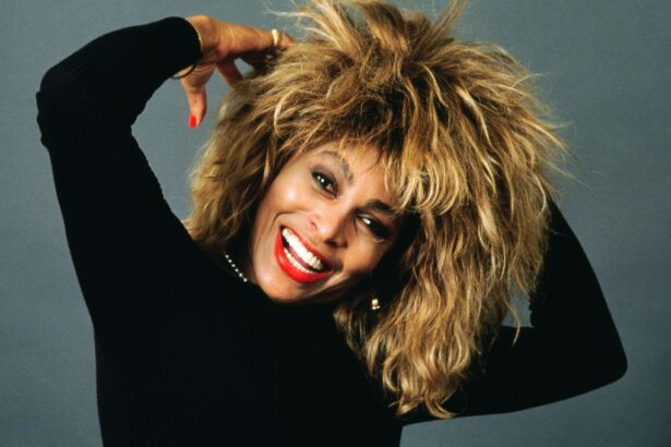 Tina Turner. Foto: Alain Denize/Getty Images.