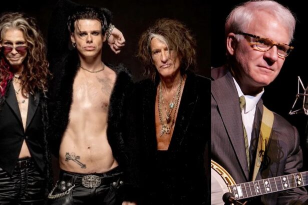 Aerosmith e Steve Martin. Crédito: Crédito: Ross Halfin e Gary Miller/FilmMagic.