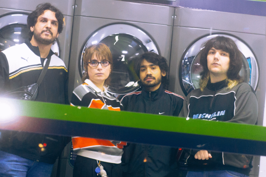 asterismas. Crédito: Sofia Saul.