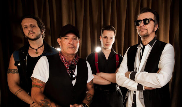 Camisa de Vênus. Foto: Ana Karina Zaratin.