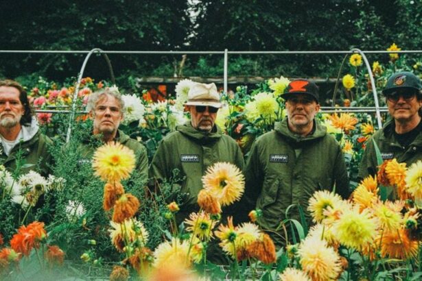 Super Furry Animals. Foto: Ryan Eddleston.