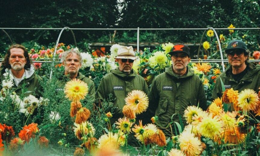 Super Furry Animals. Foto: Ryan Eddleston.