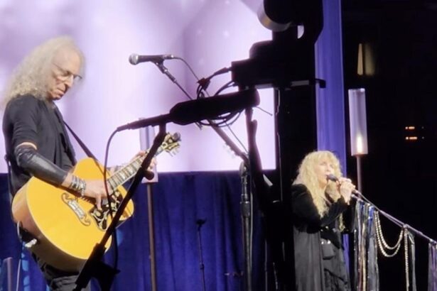 Stevie Nicks. Foto: Reprodução Youtube.
