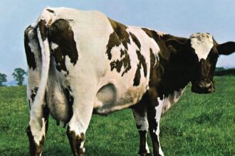 Atom Heart Mother - Pink Floyd Foto: Reproudção