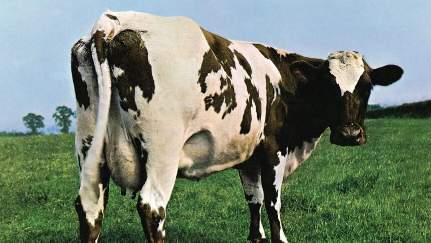 Atom Heart Mother - Pink Floyd Foto: Reproudção