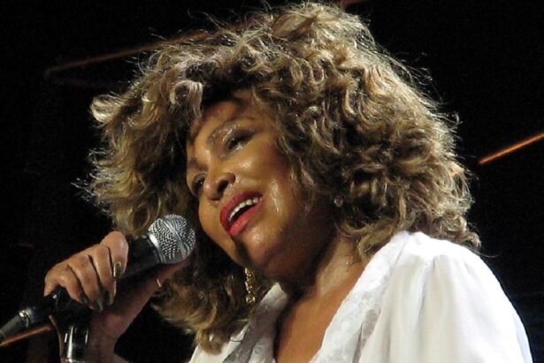 Tina Turner. Foto: Philip Spittle.