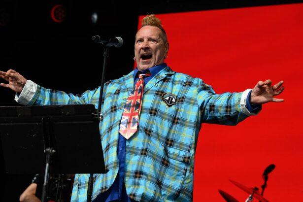 John Lydon. Foto: Katja Ogrin/WireImage.