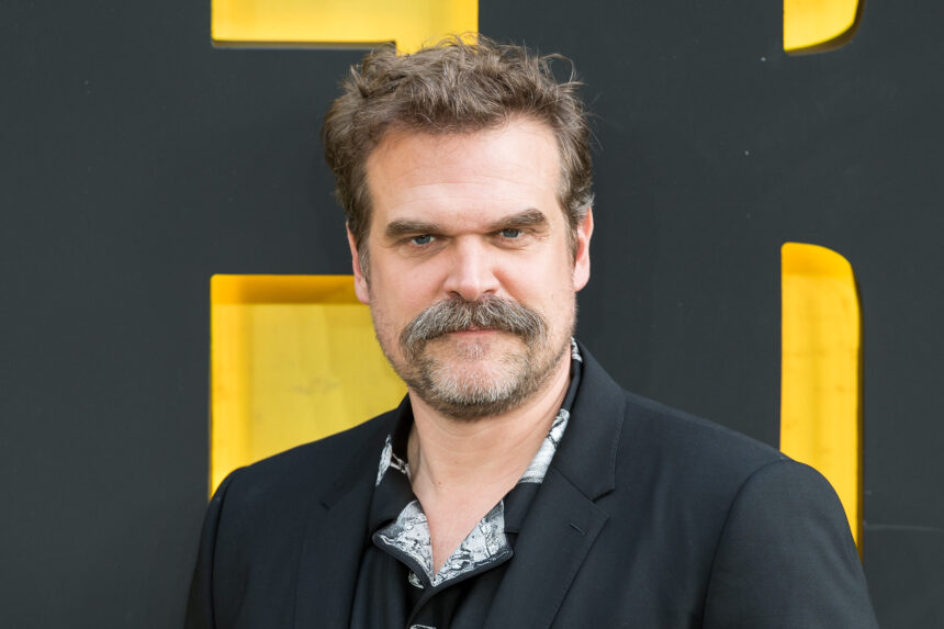 David Harbour. Foto: Wiktor Szymanowiczanado.
