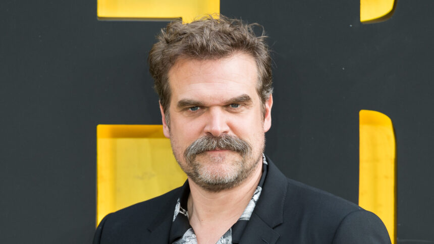 David Harbour. Foto: Wiktor Szymanowiczanado.