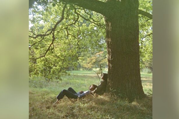 Capa John Lennon - Lennon/Plastic Ono Band.