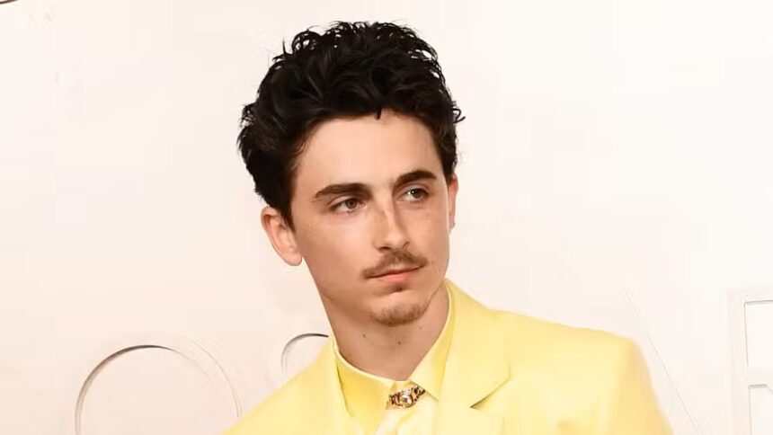 Timothée Chalamet. Crédito: Reprodução/Getty Images.