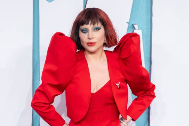 Lady Gaga. Crédito: Samir Hussein/WireImage.