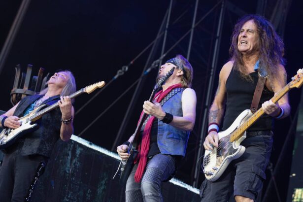 Iron Maiden. Foto: Jo Hale/Getty Images.